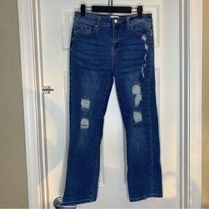 William Rast Slim Straight Distressed Jeans Size 26